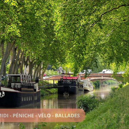 T3 Universites & Hospitals - Havre De Paix Pres Toulouse - Parking - Terrasse Ngoại thất bức ảnh